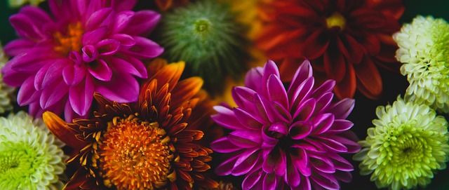 仅是数据的 仅是数据的