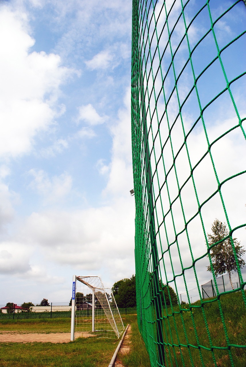 逐而告终 逐而告终