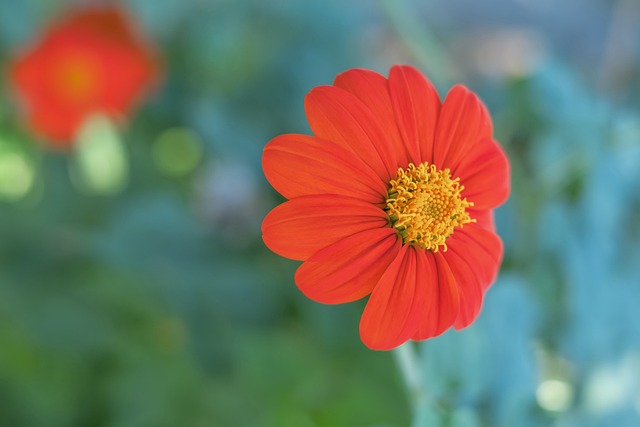 让我们深入 让我们深入