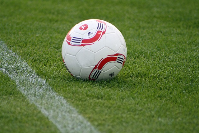 球队内部的 球队内部的